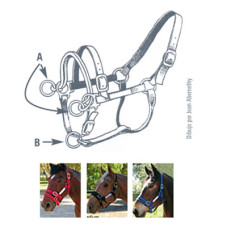 Cabezada Monty-Dually